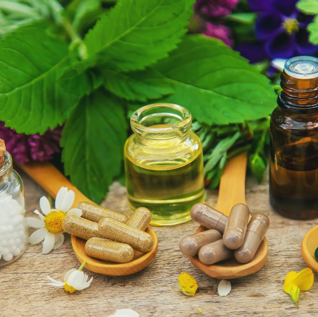 I  Homéopathie : La matière médicale