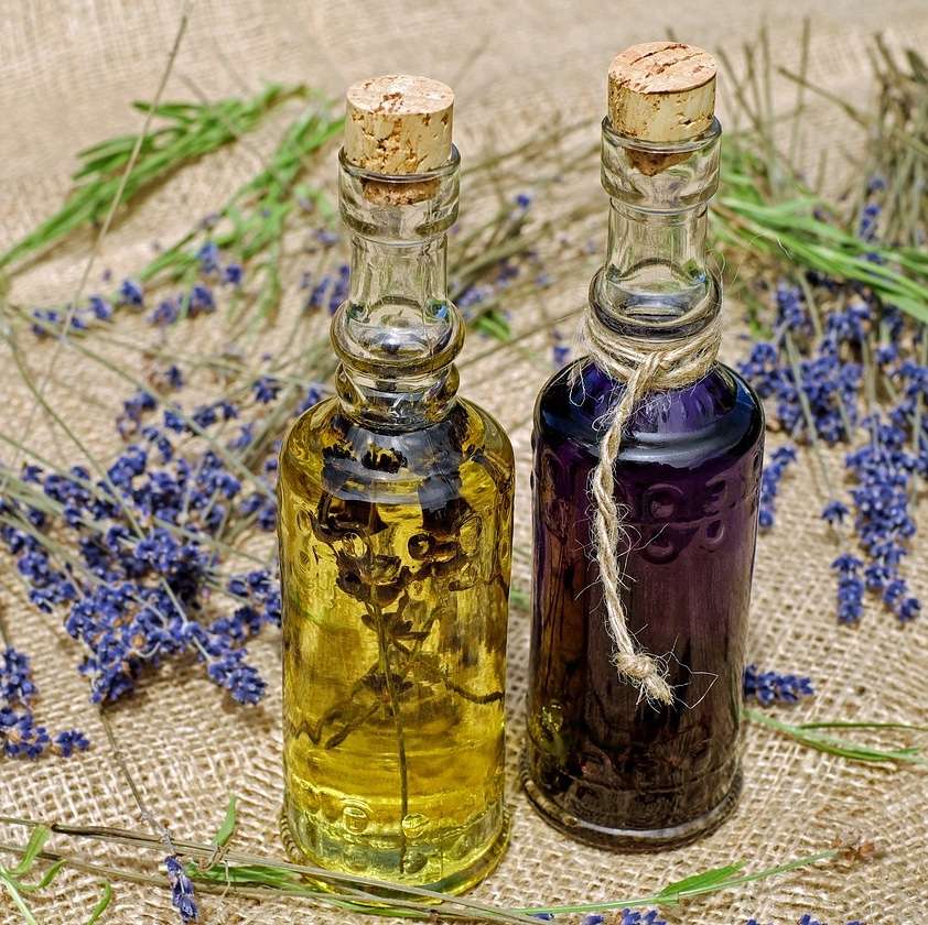 II  Homéopathie : Les pathologies (1/2)