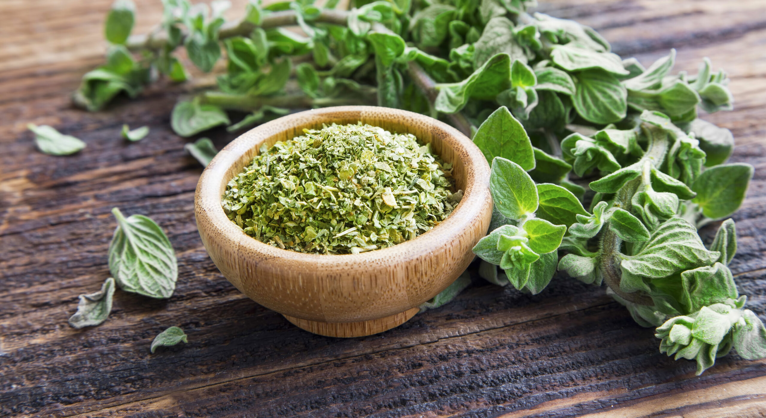 La médecine Intégrative : phytothérapie, nutrithérapie